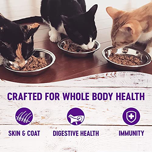 Wellness Complete Health GrainFree Wet Canned Cat Food, Natural Ingredients, Made in USA with