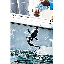 Berkley Gulp! Grub Soft Fishing Bait, Nuclear