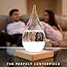Empyrean Decorative Storm Glass - Water Drop Weather Predictor Creative Forecast Bottle Barometer Weather Glass - 17th Century European Meteorological Stylish Display Large Home Glass Crafts (Large)