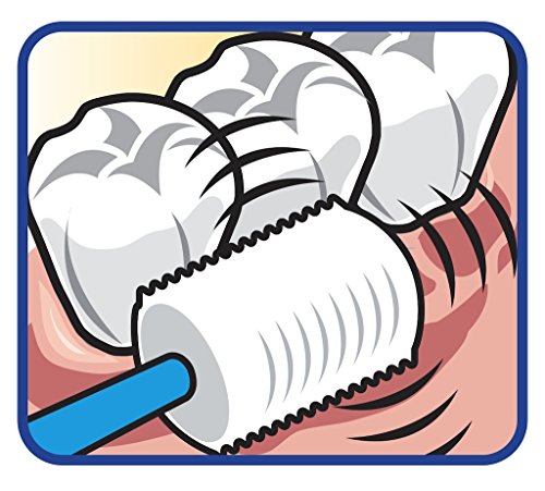 3 Brilliant+Child+Toothbrush+Baby+Buddy