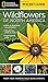 National Geographic Pocket Guide to Wildflowers of North America by Catherine Herbert Howell