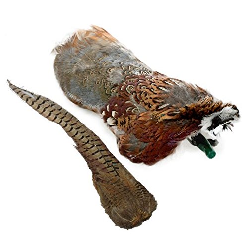 Romneys Pheasant Dummy 500 g with real feather dress, feather dummy