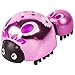 NEW! Little Live Pets - LIL LADYBUG and BABY Single Pack - Moves and Plays Just Like a Real Ladybug. STYLE 2