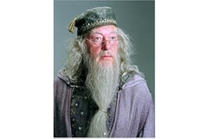 Harry Potter 8Inch x 10Inch Photo Michael Gambon as Dumbledore in Purple Robe & Grey Hat kn