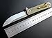 Eafengrow EF216 Tactical Folding Knives with Titanium Alloy Handle EDC Tool Survival Pocket Knives (gold)