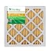 Filterbuy 14x18x1 Air Filter MERV 11 (MPR 1200) Allergen Defense Replacement (2-Pack), Electrostatic Pleated HVAC AC Furnace Filters, Made in USA (Actual Size: 13.50 x 17.50 x 0.75)