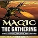Magic the Gathering: Drafting Guide for Beginners by 