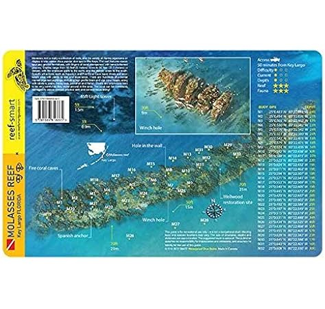 Molasses Reef Key Largo Florida Waterproof Dive Fish Card Reef Smart 9781988818665 Amazon Com Books