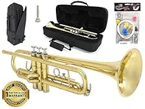 D'Luca 500L 500 Series Brass Standard Bb Trumpet with Professional Case, Cleaning Kit, Gold
