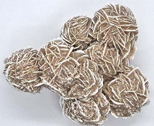 Selenite Desert Rose Crystal Cluster from Mexico 290 Grams Healing Crystals Reiki Stones