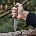TANGRAM Folding Pocket Knife ACUTO440 Wharncliffe Sharp Blade Liner Lock G10 Handle Flipper Knife,Dirk Pinkerton Orion TG3007