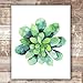 Succulent Wall Art Prints (Set of 4) - Unframed - 8x10s | Botanical Prints | Flower Wall Décor | Kitchen Wall Décor | Vintage Wall Décor | Botanical Wall Art | Aesthetic Wall Décor | Floral Wall Art