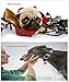 Teemo Large Dog Rope Toy - For Medium to Large Breeds and Big Puppies - 5 Thick Knots -Environment Friendly and Washable Cotton- Best for Tug-of-War or Fetch - Indoor or Outdoor Play - Dental Health