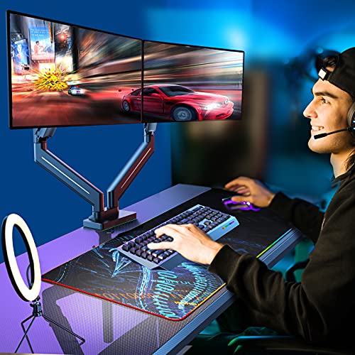 Gas Spring Monitor Desk Mount 
