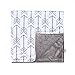 TOWIN BABY Arrow Minky Double Layer Receiving Blanket, Grey 30