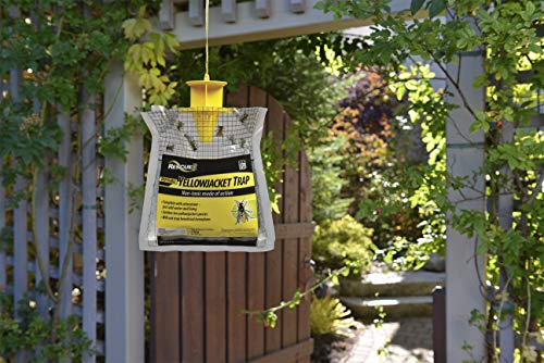 RESCUE Non-Toxic Disposable Yellowjacket Trap, East of the Rockies - //coolthings.us