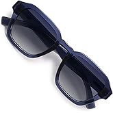 VANLINKER Retro Vintage Polarized Trendy Small Square Sunglasses for Women Men 2025 Fashion Shades VL9858