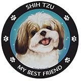 Gold & White Shih-Tzu My Best Friend Magnet