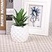Lvydec Potted Artificial Succulent Decoration, Fake Pineapple Plant for Home Office Tabletop Decoration (White)