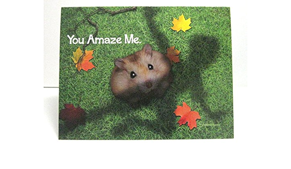 cheeky hamster amazon