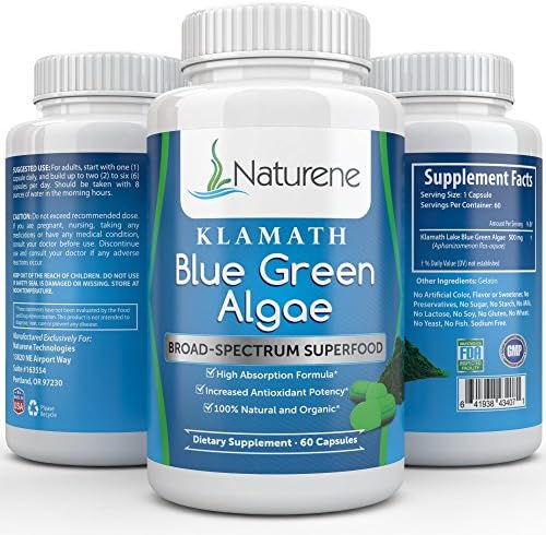 Naturene Klamath Blue Green Algae - Energy and Focus Superfood with More Potency Than Spirulina or Chlorella - High Absorption Formula - 500 mg - 60 Capsules