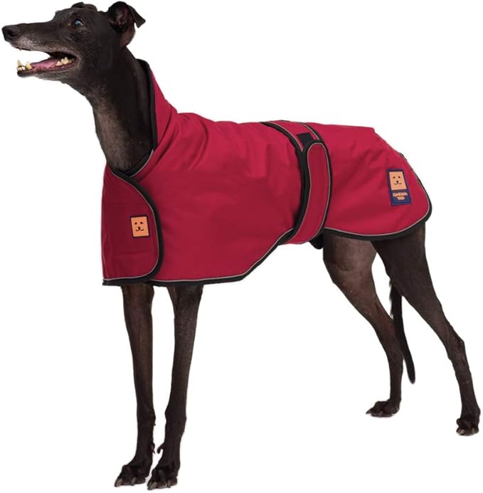 Ginger Ted Shower Waterproof Greyhound/Lurcher/Whippet Dog Coat Extra Large size 26inch / 66cm