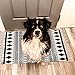 USTIDE Boho Cream & Black Cotton Rug - Washable, Hand Woven Fringe, Farmhouse Bath & Doormat - 2'x3'