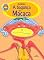 Livro A bagunça da Macaca