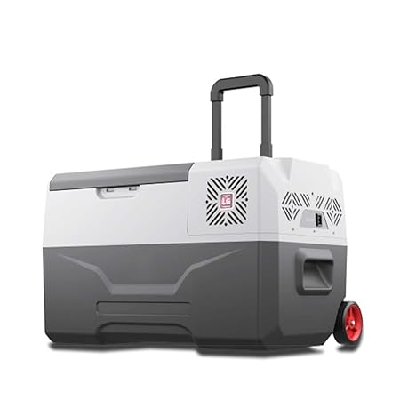 Refrigerador / Congelador PortáTil Para AutomóVil (-20 ℃ A 20 ...