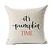 Birsppy Pumpkin Time Quotes Happy Fall Throw Pillow Case Cushion Cover Decor Cotton Linen 18