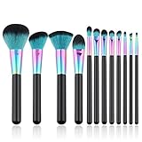 DATEWORK 12PCS Multicolor Makeup Brushes Set