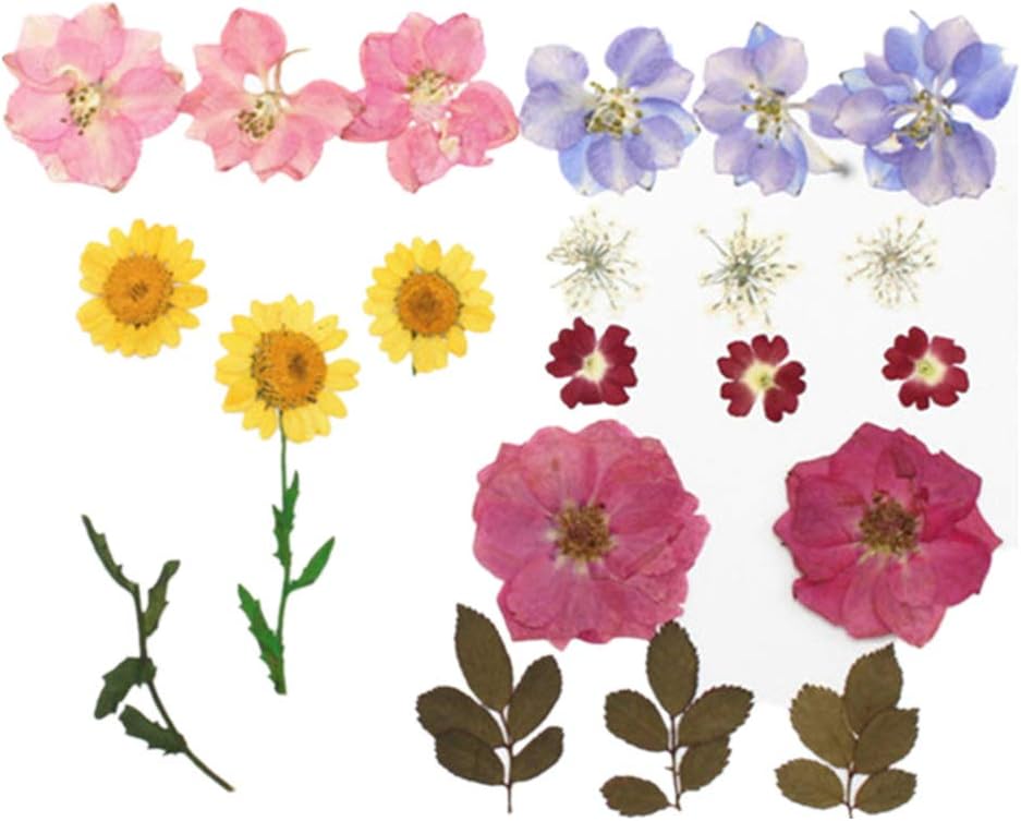 Assorted Nature Dried Flowers Pressed Flowers Leaves Mixed Pack Scrapbooking Embellishments for DIY Resin Ornament Crafts Candle Making (Mixed)