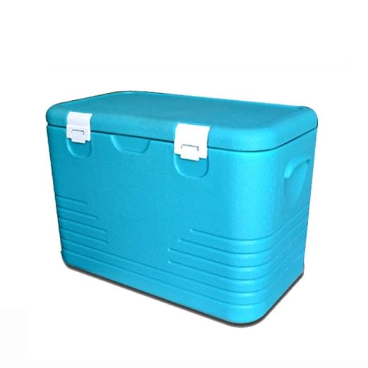 Ambiguity Nevera Camping,46L Caja de Aislamiento médico ...