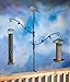 Stokes Select Bird Feeder Metal Deck Pole Kit with Two Adjustable Branches