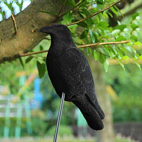 New-look Crow Decoy Hunting Garden Flocked Hard Plastic Jet Black Crow Decoy Hunting Stand Body Feet Stake