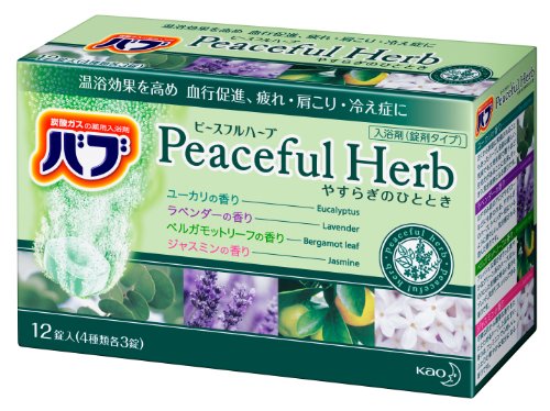 Babb Bath Salts Hot Spring -Peaceful Herb -40gx12tab