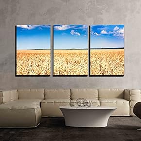 3 Piece Canvas Wall Art - Wheat Field Under Blue Sunny Sky - Modern Home Art Stretched and Framed Ready to Hang - 16"x24"x3 Panels