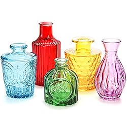 Coloch Set of 10 Colored Bud Vases, Assorted Small