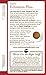Traditional Medicinals Organic Echinacea Plus Seasonal Tea (Pack of 1), Promotes Immune Function, 16 Tea Bags