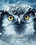 2019 Weekly and Monthly Planner: Owl Daily Organizer -To Do -Calendar in Review/Monthly Calendar wit by All In A Day