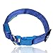 ILLUMISEEN LED Dog Collar USB Rechargeable - Bright & High Visibility Lighted Glow Collar for Pet Night Walking - Weatherproof, in 6 Colors & 6 Sizes (Blue X-Large)