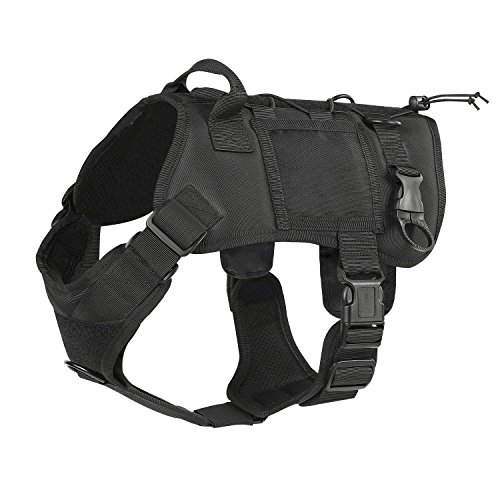 Best Harnesses For Dogs with Back Problems (Feel Better!) Scout Knows