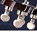 Waverly Banjo Tuning Pegs, Nickel, Set of 4