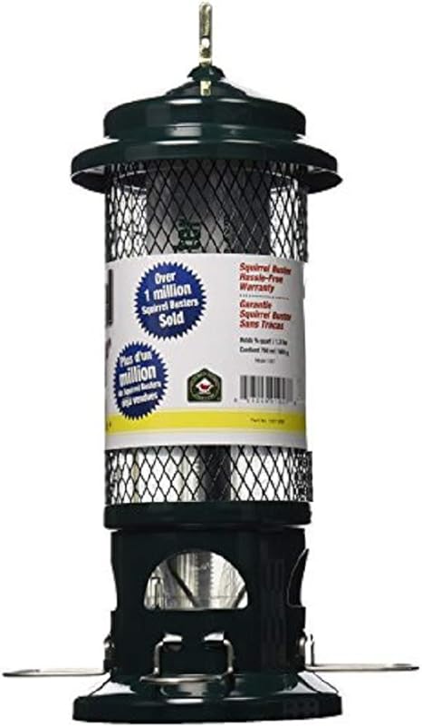 √ Squirrel Buster Standard Bird Feeder Assembly - Fishing Boats Blog
