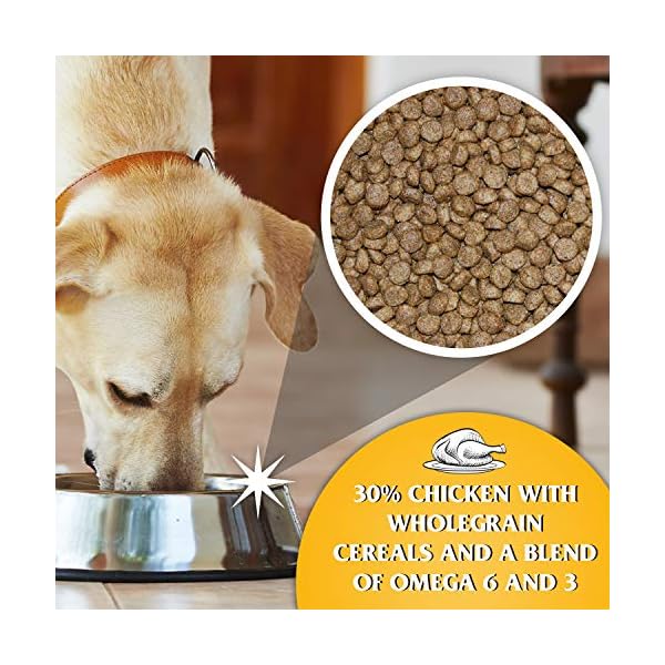 Gilbertson-Page-Dr-John-Puppy-10kg-mustard Gilbertson & Page Dr John Puppy 10kg