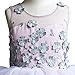 CQDY Flower Girl Lace Dress Embroidery Pageant Wedding Birthday Party Prom Puffy Tulle Ball Gown (Cameo Brown, 4-5y)