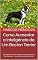 Livro Como Aumentar a Inteligência de Um Boston Terrier: Um Boston Terrier Mais Inteligente é Um Boston Terrier Mais Obediente - Como Adestrar Um Boston Terrier