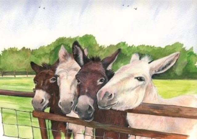 Sue Podbery Collection Four Curious Donkeys 1000 Piece Puzzle