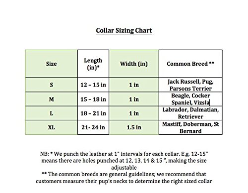 Gaucho Goods Premium Hand Stitched Leather Dog Collar (S, Tahoe)