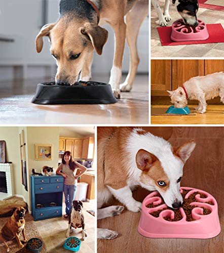 KASBAH Slow Feeder Dog Bowl for Large Dogs, Anti-Gulping Dog Food Bowls Non-Toxic Eco Friendly Maze Dog Bowl for Big Dogs, Blue